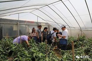河南農業大學專家團到訪園區，共探現代農業園藝服務新篇章